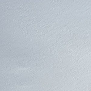 Meet your Posher, Jess